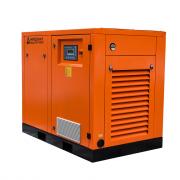 Винтовой компрессор ЗИФ СВЭ-3,9/0,7 ШМЧ Винтовой компрессор ЗИФ СВЭ-3,9/0,7 ШМЧ