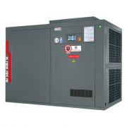 Винтовой компрессор DALGAKIRAN Inversys 110 Plus ID ‑ 10 бар